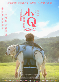 我爱铁梨花